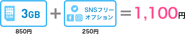 3GB850円＋SNSフリーオプション250円＝1,100円
